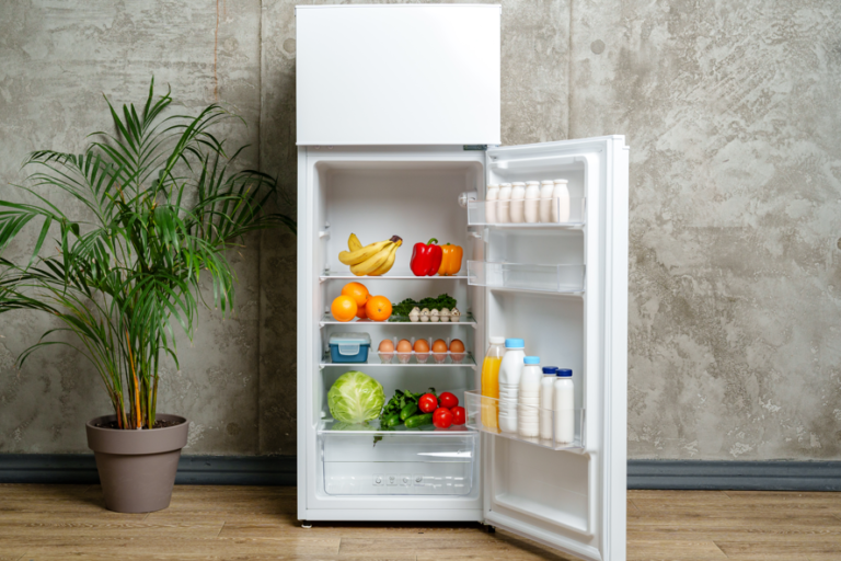 Kühlschrank – Funktionsweise, Probleme und Nutzung im Alltag